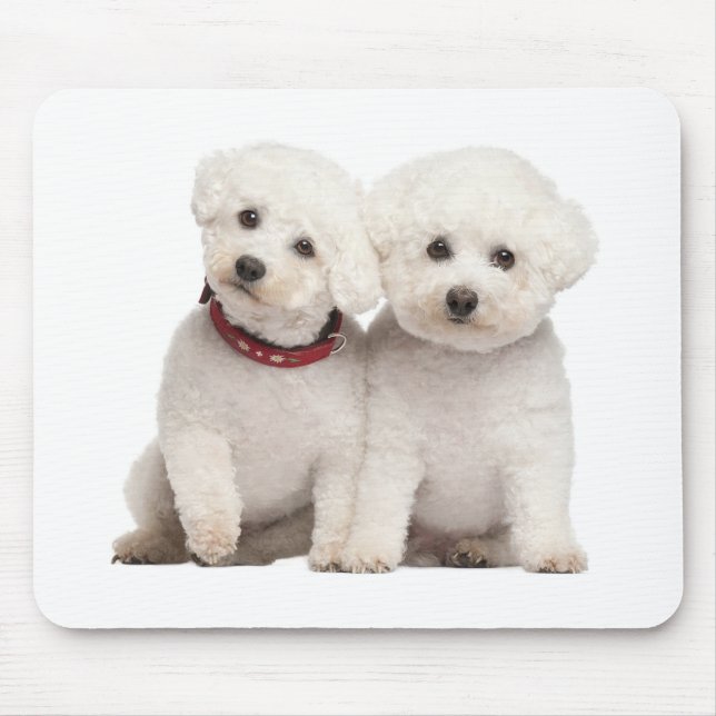 White Bichon Frise Puppy Dog Computer Mousepad (Front)