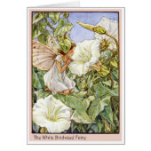 White Bindweed Fairy (Front)
