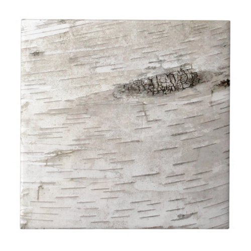 White Birch Bark Tile