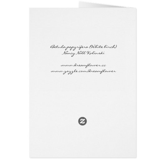 White birch (Betula papyrifera) card (Back)