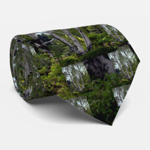 White Birch in Enchanted Lush Forest Neck Tie