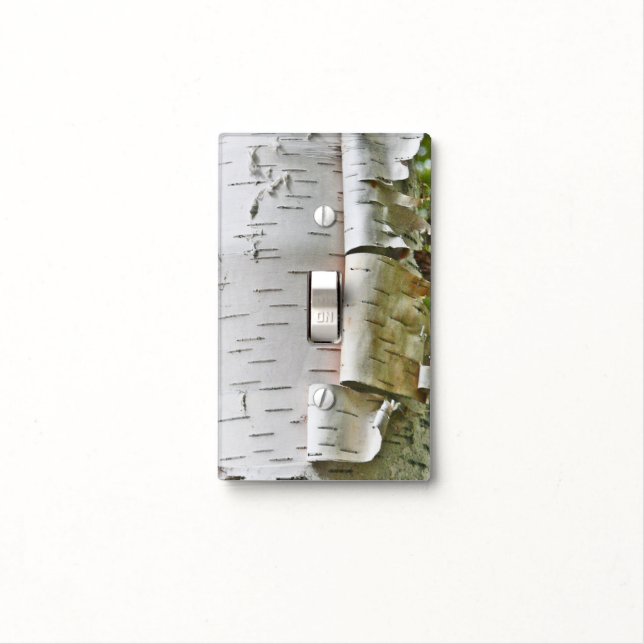 WHITE BIRCH/LIGHT SWITCH COVER (In Situ)