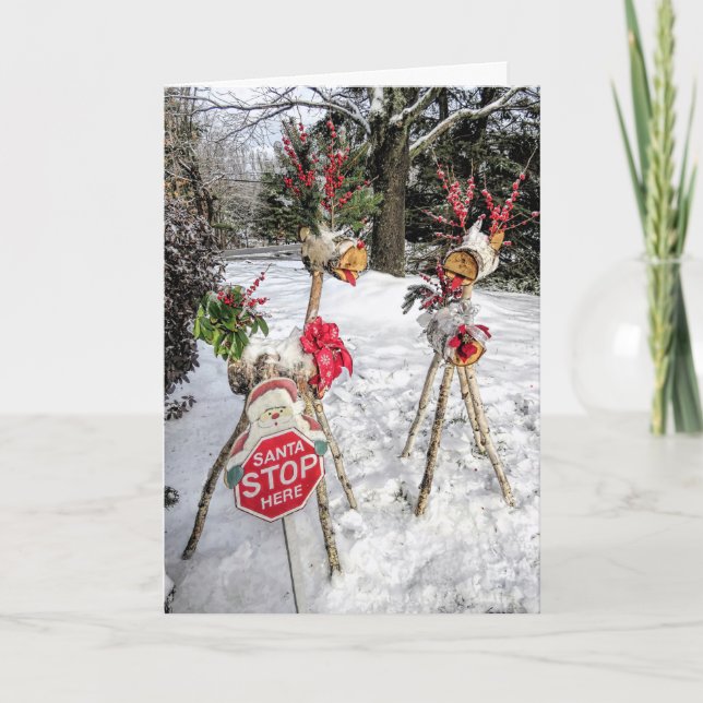 White Birch Logs Reindeer Holiday Card (Front)