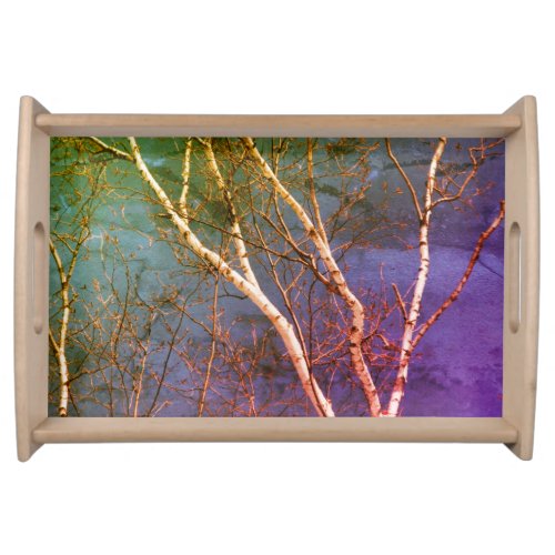 White Birch Tree Abstract Blue Sky Nature Serving Tray