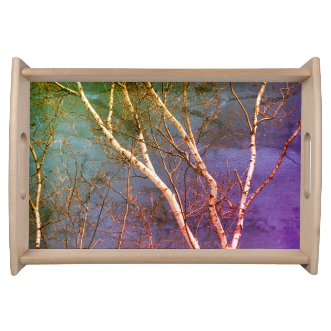 White Birch Tree Abstract Blue Sky Nature Serving Tray (Front)