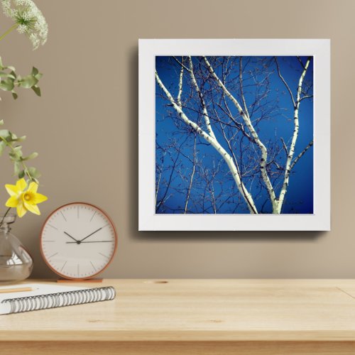 White Birch Tree Against Blue Sky Framed Framed Art