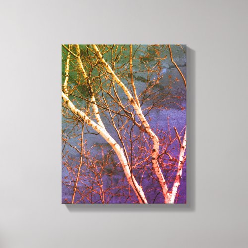 White Birch Tree Against Blue Sky Nature Abstract Canvas Print