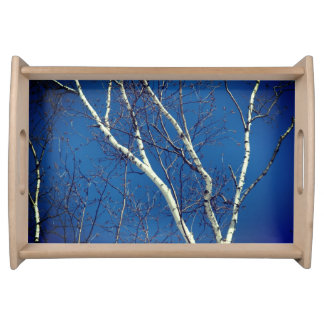 White Birch Tree Against Blue Sky Nature Serving Tray