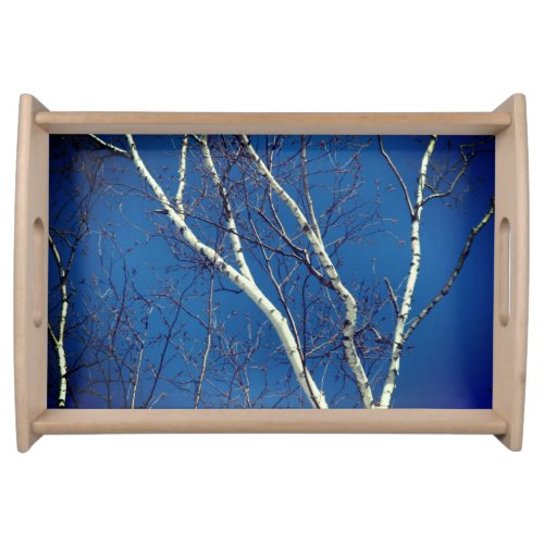 White Birch Tree Against Blue Sky Nature Serving Tray