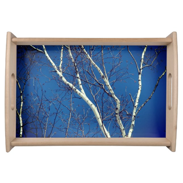 White Birch Tree Against Blue Sky Nature Serving Tray (Front)