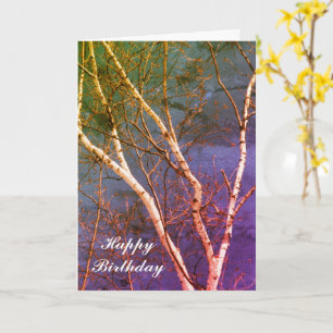 White Birch Tree Blue Sky Nature Art Birthday Card