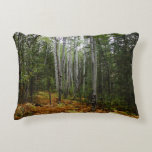 White Birch Trees and Fall Ferns at Rocky Mountain Accent Pillow