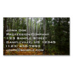 White Birch Trees and Fall Ferns at Rocky Mountain Business Card Magnet