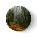 White Birch Trees and Fall Ferns at Rocky Mountain Button