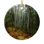 White Birch Trees and Fall Ferns at Rocky Mountain Ceramic Ornament