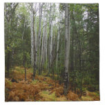 White Birch Trees and Fall Ferns at Rocky Mountain Cloth Napkin