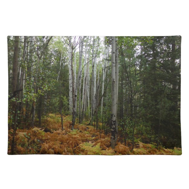 White Birch Trees and Fall Ferns at Rocky Mountain Cloth Placemat (Front)