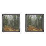 White Birch Trees and Fall Ferns at Rocky Mountain Cufflinks