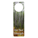 White Birch Trees and Fall Ferns at Rocky Mountain Door Hanger
