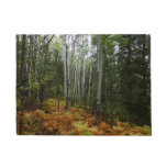 White Birch Trees and Fall Ferns at Rocky Mountain Doormat