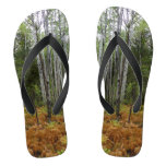 White Birch Trees and Fall Ferns at Rocky Mountain Flip Flops