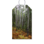 White Birch Trees and Fall Ferns at Rocky Mountain Gift Tags