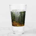 White Birch Trees and Fall Ferns at Rocky Mountain Glass