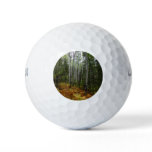 White Birch Trees and Fall Ferns at Rocky Mountain Golf Balls