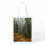 White Birch Trees and Fall Ferns at Rocky Mountain Grocery Bag