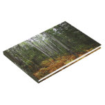 White Birch Trees and Fall Ferns at Rocky Mountain Guest Book