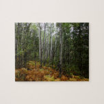 White Birch Trees and Fall Ferns at Rocky Mountain Jigsaw Puzzle
