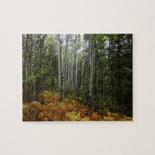 White Birch Trees and Fall Ferns at Rocky Mountain Jigsaw Puzzle