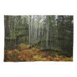 White Birch Trees and Fall Ferns at Rocky Mountain Kitchen Towel