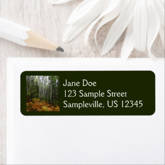 White Birch Trees and Fall Ferns at Rocky Mountain Label