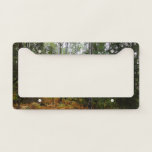 White Birch Trees and Fall Ferns at Rocky Mountain License Plate Frame