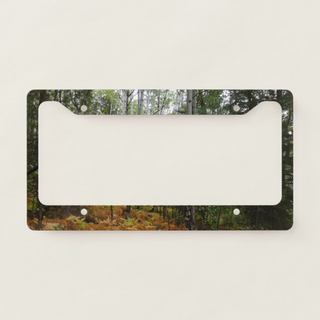 White Birch Trees and Fall Ferns at Rocky Mountain License Plate Frame (Front)