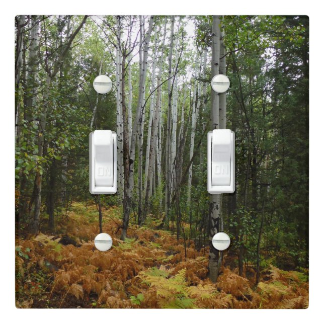 White Birch Trees and Fall Ferns at Rocky Mountain Light Switch Cover (In Situ)