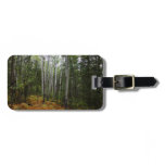 White Birch Trees and Fall Ferns at Rocky Mountain Luggage Tag