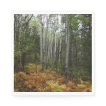 White Birch Trees and Fall Ferns at Rocky Mountain Napkins