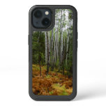 White Birch Trees and Fall Ferns at Rocky Mountain iPhone 13 Case