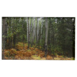 White Birch Trees and Fall Ferns at Rocky Mountain Place Card Holder