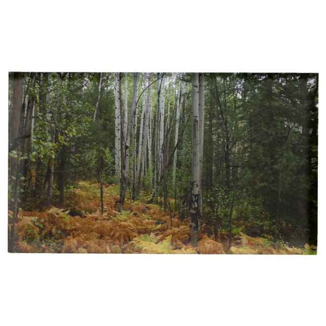 White Birch Trees and Fall Ferns at Rocky Mountain Place Card Holder (Front)