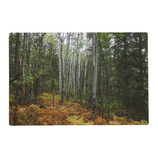 White Birch Trees and Fall Ferns at Rocky Mountain Placemat (Front)