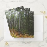 White Birch Trees and Fall Ferns at Rocky Mountain Pocket Folder