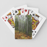 White Birch Trees and Fall Ferns at Rocky Mountain Poker Cards