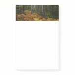 White Birch Trees and Fall Ferns at Rocky Mountain Post-it Notes