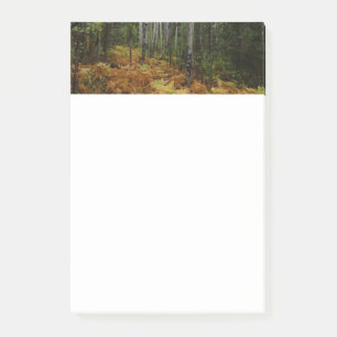 White Birch Trees and Fall Ferns at Rocky Mountain Post-it Notes