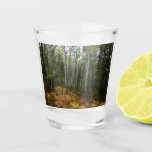 White Birch Trees and Fall Ferns at Rocky Mountain Shot Glass