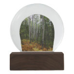 White Birch Trees and Fall Ferns at Rocky Mountain Snow Globe