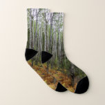 White Birch Trees and Fall Ferns at Rocky Mountain Socks